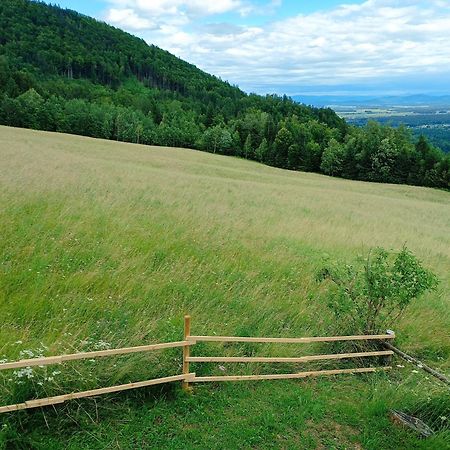 Kralj Matjaz - The Green Escape Under Alps Golnik 外观 照片