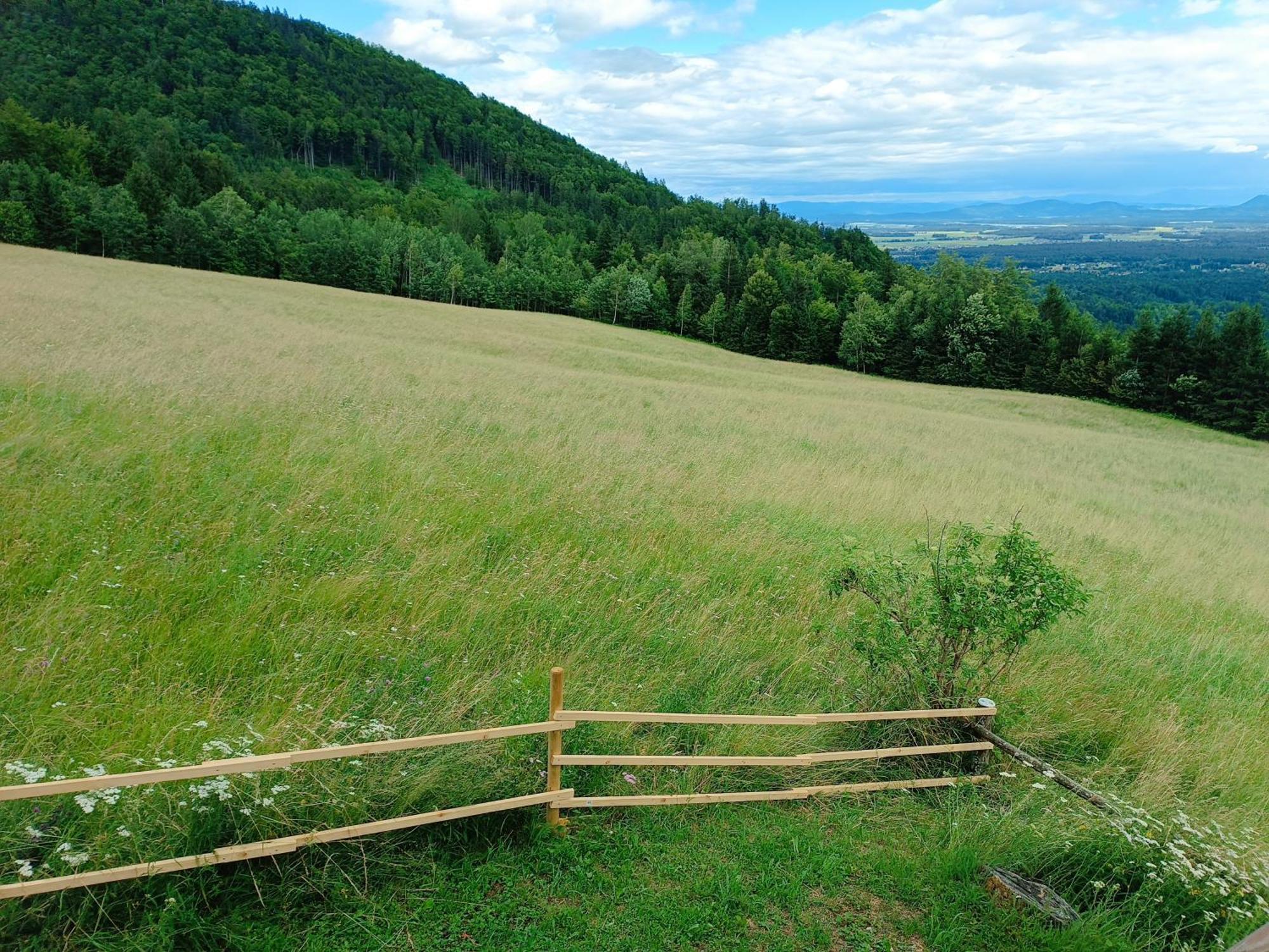 Kralj Matjaz - The Green Escape Under Alps Golnik 外观 照片